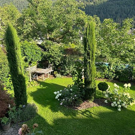 York Cottage Garden 特拉本特拉巴赫 外观 照片