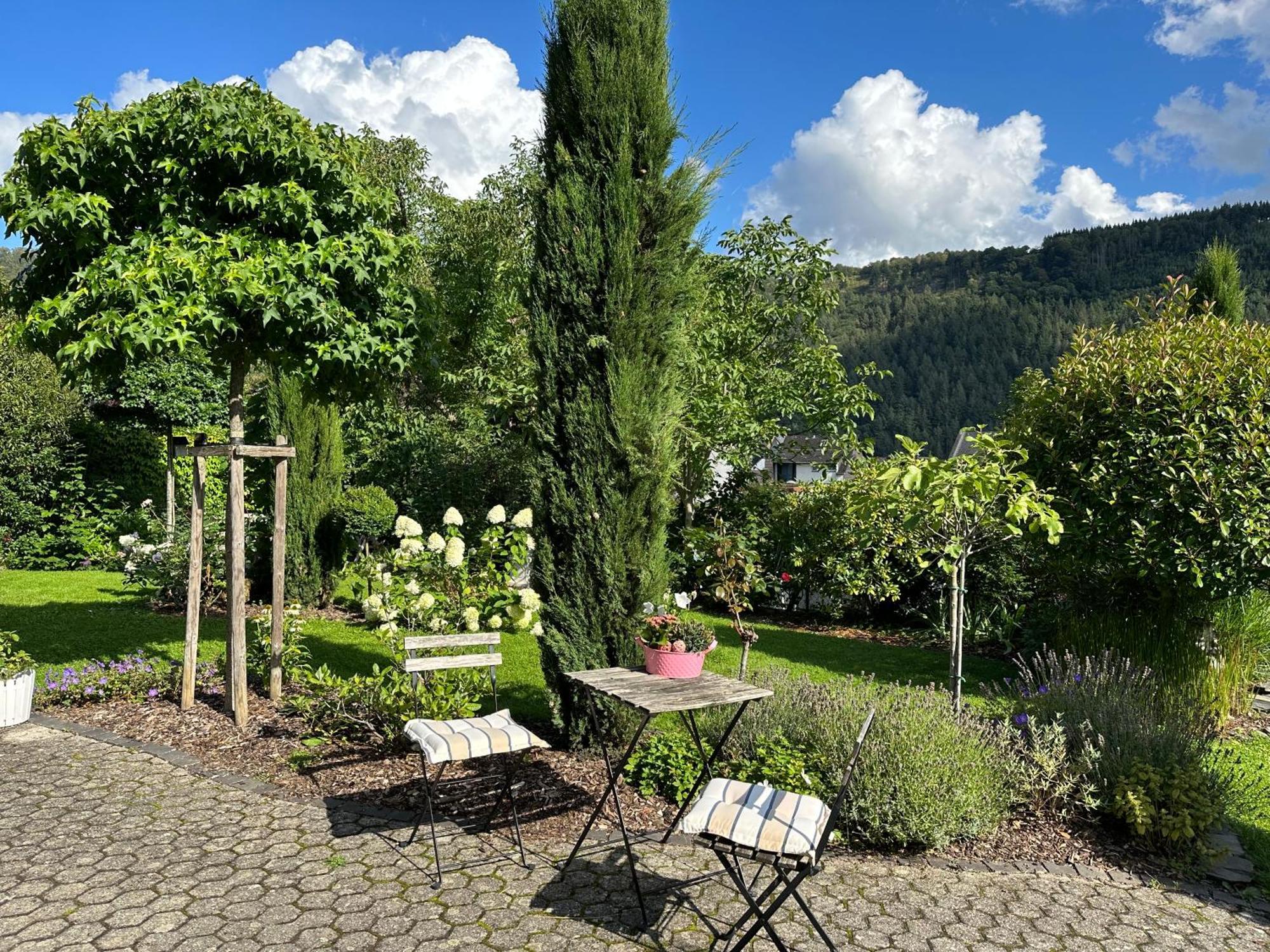 York Cottage Garden 特拉本特拉巴赫 外观 照片